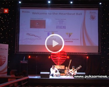 Heartbeat Ball 2012
