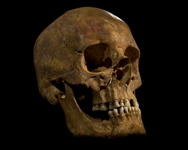 Richard III Confirmed as Leicester Car Park Skeleton