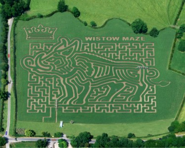 Wistow Maze Re-opens for 10th Year