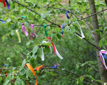 Remember a Loved One with LOROS Colour of Ribbons Event