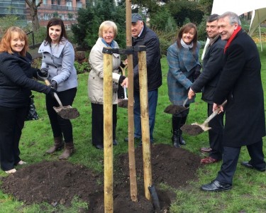 Trees Planted to Commemorate Victims of Domestic Violence