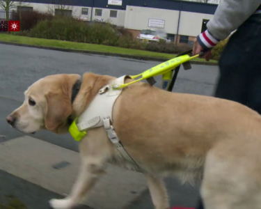 Blind Man in Leicester Refused Taxi because of his Guide Dog