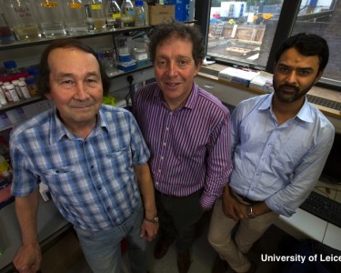 New Way to Kill Malaria Parasite developed by Leicester Scientists