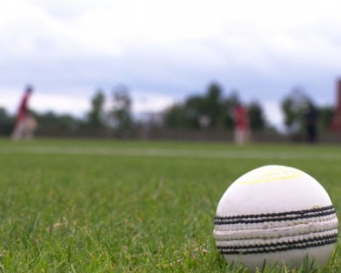 Over 300 Young Cricketers Take Part in International Tournament in Leicester
