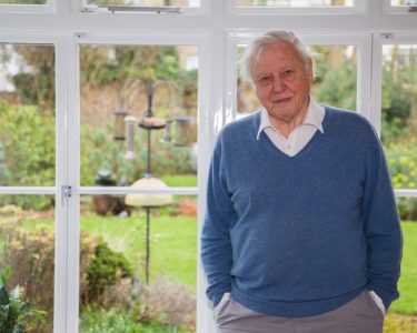 Sir David Attenborough favourite to be on new £20 note