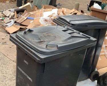 Fly-Tipping rife behind London Road properties
