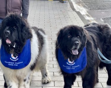 LEICESTER ‘HERO DOGS’ UP FOR NATIONAL AWARD