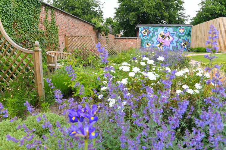 Leicester Time: AFTERNOON TEA FOR DEDICATED STAFF IN GLENFIELD HOSPITAL'S 'SECRET GARDEN'