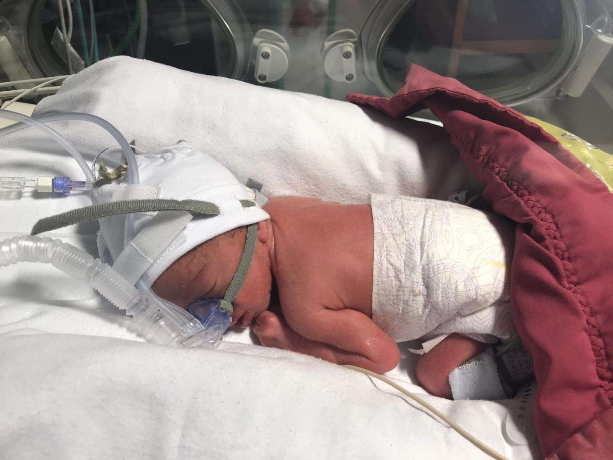 Leicester Hospitals Charity Launches Poignant Christmas Appeal to Help