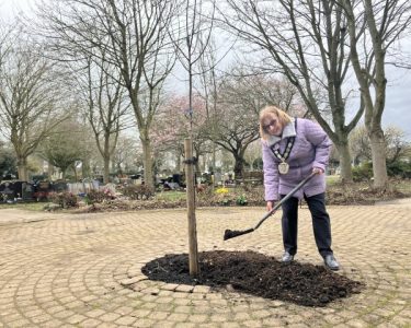 Tree Planted in Wigston to Remember the Late Queen Elizabeth II