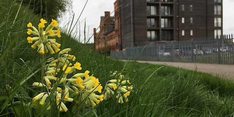 Leicester Time: Free Walking Festival Begins in Leicester