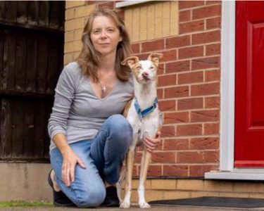 Hinckley Rescue Dog is a Role Model for Canines Improving Mental Health and Wellbeing