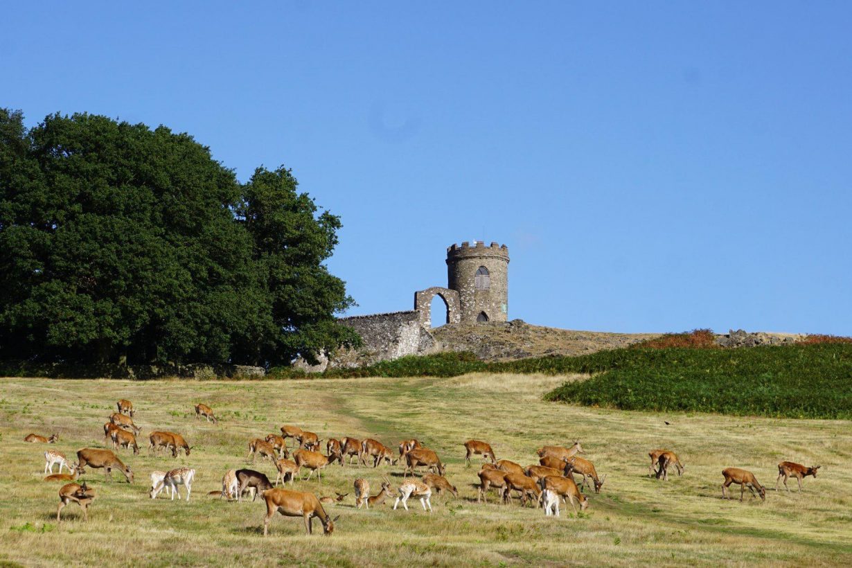 Iconic Leicestershire Landmark Saved By Local Business Pukaar News iconic-leicestershire-landmark-saved-by-local-business-pukaar-news