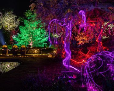 Prepare to See Leicester’s Abbey Park in a Magical New Light…